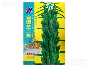 ����֥��̖(h��o)-֥��N��-��Դ�r(n��ng)�I(y��)