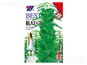 �����֥-֥��N��-��Դ�r(n��ng)�I(y��)