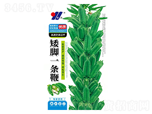 ���_һ�l��-֥��N��-��Դ�r(n��ng)�I(y��)