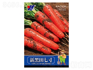 �º����ߴ�-�}���N��-��Դ�r(n��ng)�I(y��)