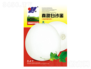 �����ɳ��-��ϷN��-��Դ�r(n��ng)�I(y��)