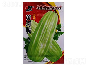 �S�Ӵ�-��ϷN��-��Դ�r(n��ng)�I(y��)