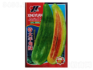 �ش������-��ϷN��-��Դ�r(n��ng)�I(y��)