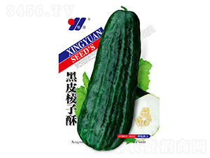 ��Ƥ������-��ϷN��-��Դ�r(n��ng)�I(y��)