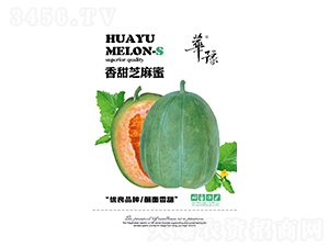 ����֥����-��ϷN��-��Դ�r(n��ng)�I(y��)