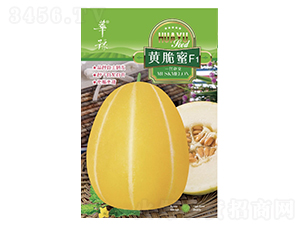 �S����-��ϷN��-��Դ�r(n��ng)�I(y��)