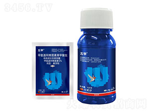 5%�װ������S���ر������}-���-��ֲ��