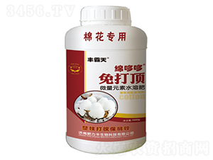 �d�߶ߣ����픣�-�S����-������