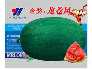 �������L(f��ng)-���ϷN��-��Դ�r(n��ng)�I(y��)