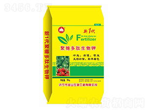 ���Ƕ��������-��ɽ����