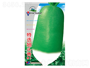 ���x�N�^��-���}���N��-��Դ�r(n��ng)�I(y��)