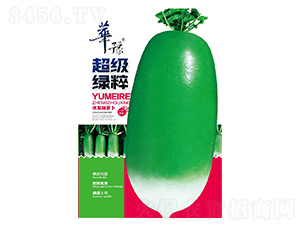 ����(j��)�G��-���}���N��-��Դ�r(n��ng)�I(y��)