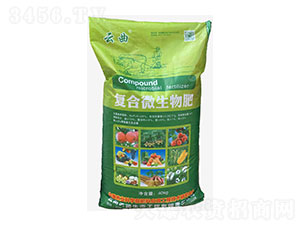 �ͺ�΢�����-����-�읙���B(t��i)