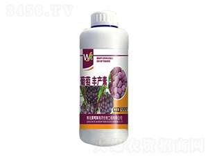 �����S�a(ch��n)��-�ֿ��S