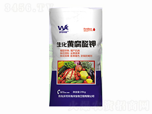 �����S�����-�ֿ��S