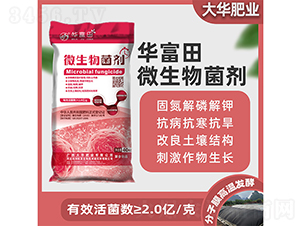 �A����΢�������-���A�ʘI(y��)