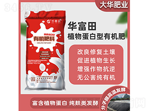 ֲ�ﵰ�����ЙC(j��)����-�A����-���A�ʘI(y��)