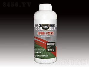 ��(x��)��������-һ������ 