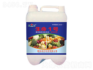 ����1̖(h��o)-����-����