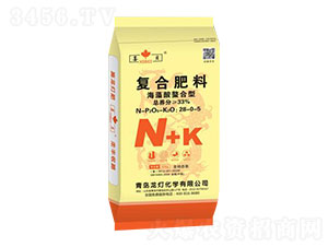 ���������͏�(f��)�Ϸ���28-0-5-����-����