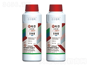 30%ɯ����-�n���n��