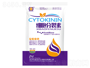 ��(x��)��������-�����S 