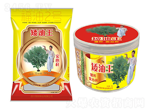 �Ͳ˷N��-������(����2̖(h��o))-��̷N�I(y��)