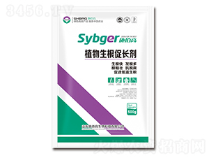 ֲ���������L��-ʩ�۸�