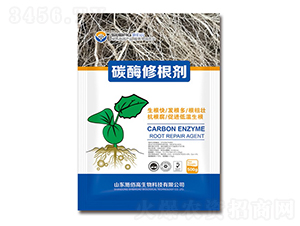 ̼ø�޸���-ʩ�۸�