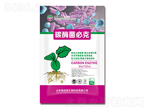 ̼ø���ؿ�-ʩ�۸�