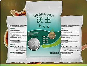 ����-����ʘI(y��)