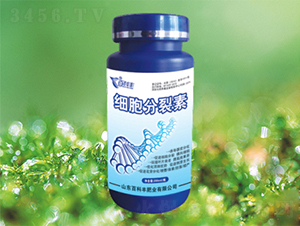 ��(x��)��������-�ٿ��S 