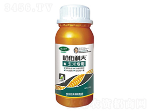 ���׌���-��������