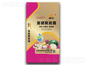 ��������̼-����