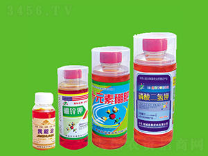 �V�V���~���-�ѿ� 