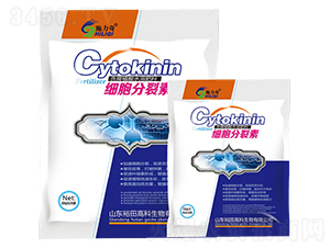 ��(x��)�������أ�����-ԣ��߿����� 