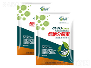 1kg��(x��)��������-ԣ��߿����� 