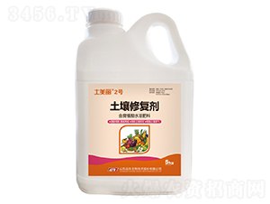 �����ޏ�(f��)��-������2̖-��(zh��n)܇