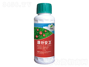 �~���-���㰲�l(w��i)-���A����