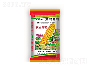 25%�S������(f��)�����15-5-5-�K�طʘI(y��)