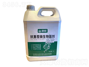 ���ز�΢�������-΢��-���S���