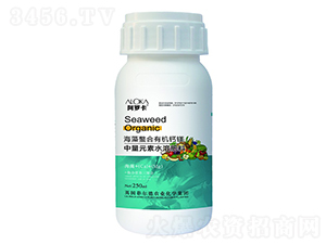 ���������ЙC�}�V-�����_-�Ɲ��r��