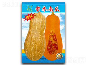 �۱��Ϲ�-�ϹϷN��-�}�ʷN�I(y��)