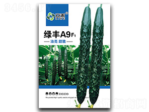 �G�SA9-�S�ϷN��-�}�ʷN�I(y��)