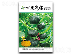 ������-ؐؐ�ϹϷN��-�}�ʷN�I(y��)