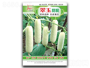 �������-�S�ϷN��-�}�ʷN�I(y��)