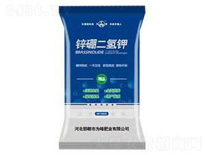 �\������-���ʘI(y��)