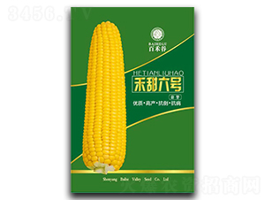 ������̖(h��o)-Ŵ���׷N��-�ٺ̹�