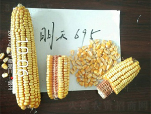 ����695-���׷N��-����N�I(y��)