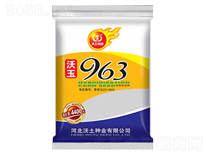 ����963-���׷N��-�����N�I(y��)